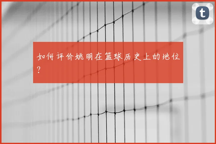 如何评价姚明在篮球历史上的地位?