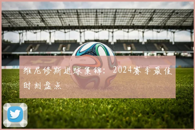 维尼修斯进球集锦：2024赛季最佳时刻盘点