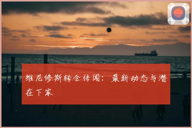 维尼修斯转会传闻：最新动态与潜在下家
