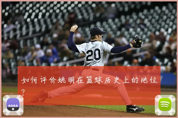 如何评价姚明在篮球历史上的地位？